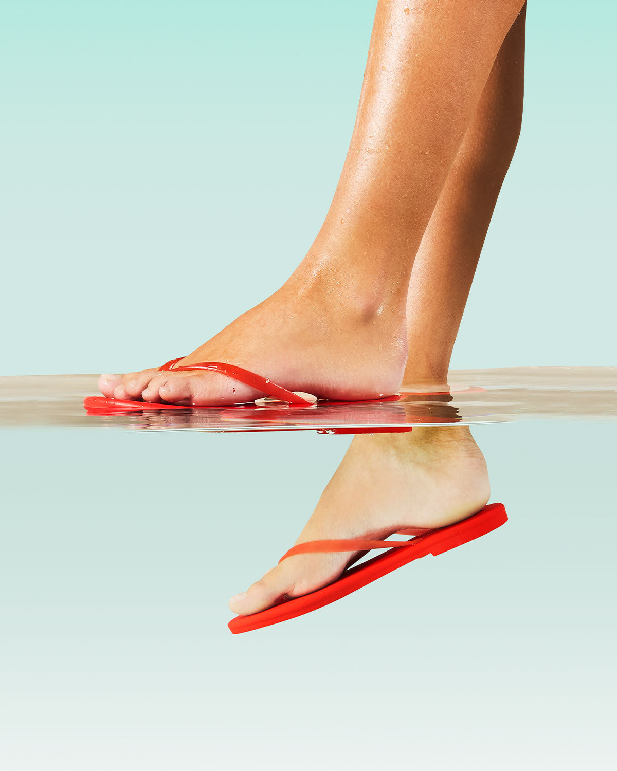 Aqua - Sol Red